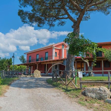 Bed and Breakfast Terra Di Vento Montecorvino Pugliano Exteriér fotografie
