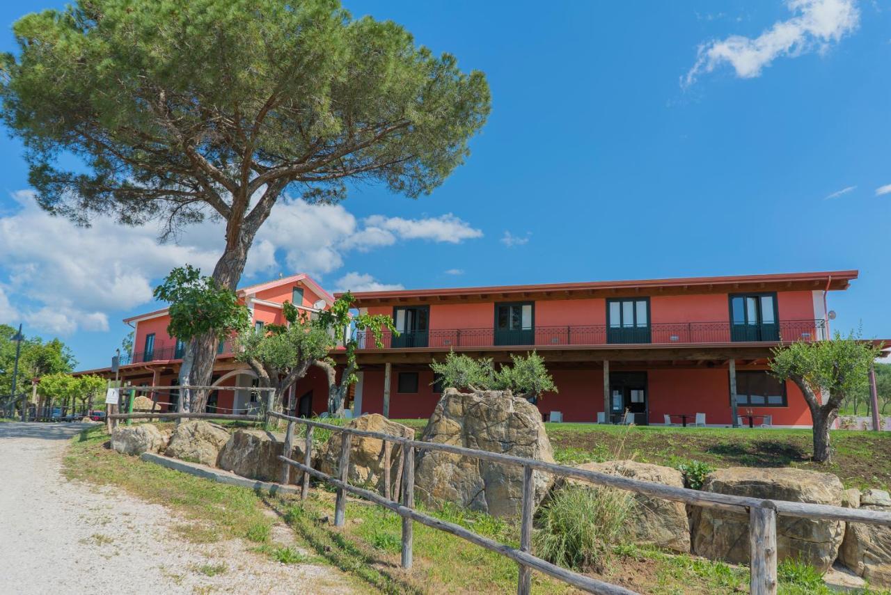 Bed and Breakfast Terra Di Vento Montecorvino Pugliano Exteriér fotografie