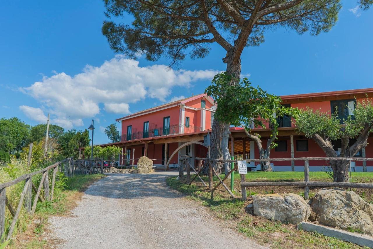 Bed and Breakfast Terra Di Vento Montecorvino Pugliano Exteriér fotografie